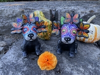 Image Day of the Dead Dog, Small, S/2